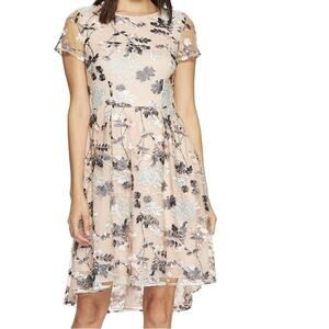 Adrianna Papell Abigail Embroidered Mesh S/S Dress NWT